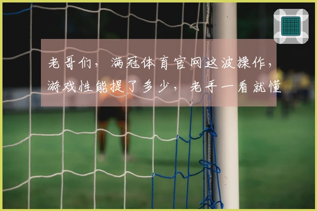 老哥们，满冠体育官网这波操作，游戏性能提了多少，老手一看就懂！