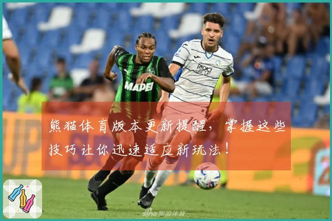 熊猫体育版本更新提醒，掌握这些技巧让你迅速适应新玩法！